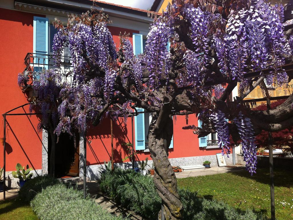 B&B villa sempreverde Locarno Eksteriør bilde
