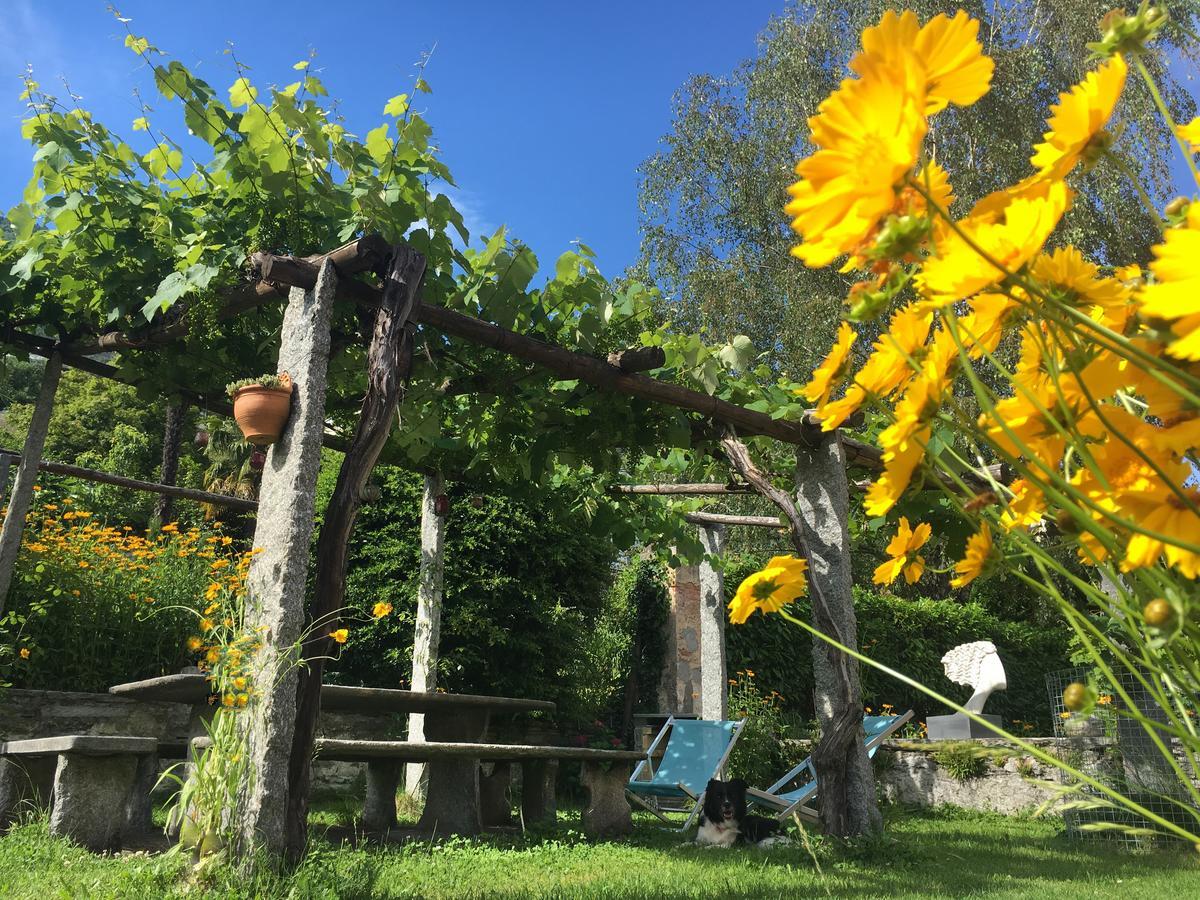 B&B villa sempreverde Locarno Eksteriør bilde